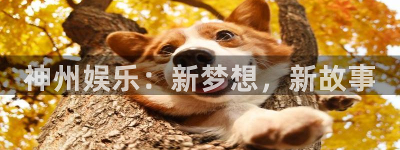 聚富财经炒股软件