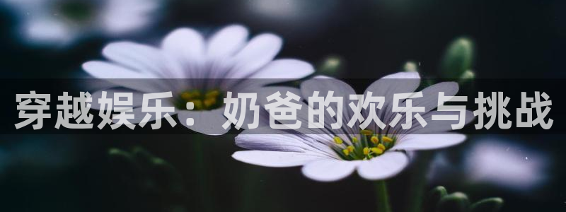 东莞聚富动漫科技有限公司