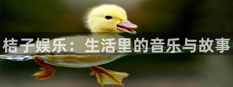 聚富金融