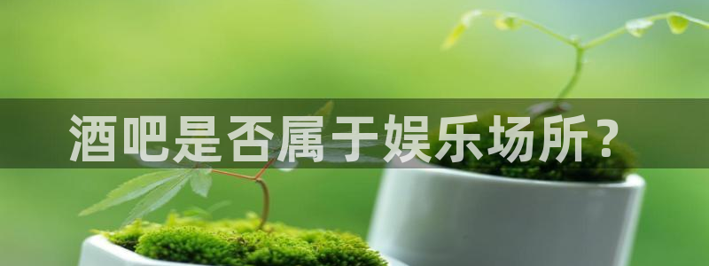 聚富投资：酒吧是否属于娱乐场所？