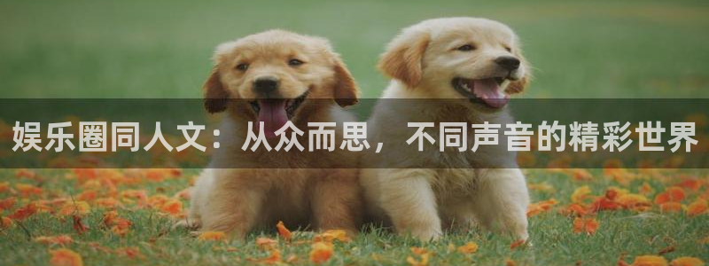 聚富公司：娱乐圈同人文：从众而思，不同声音的精彩世界