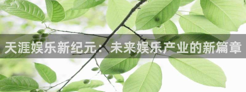 聚富网络：天涯娱乐新纪元：未来娱乐产业的新篇章