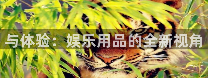 宁波市聚富电器有限公司：与体验：娱乐用品的全新视角