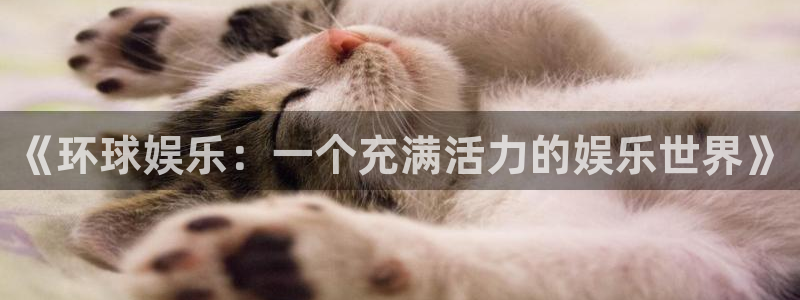 聚富汽贸园：《环球娱乐：一个充满活力的娱乐世界》