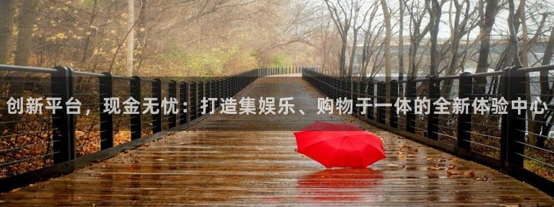 广丰聚富：创新平台，现金无忧：打造集娱乐、购物于一体的全新体验中心