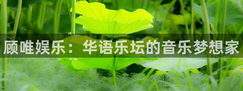 天启328号天玑聚富信托计划：顾唯娱乐：华语乐坛的音乐梦想家
