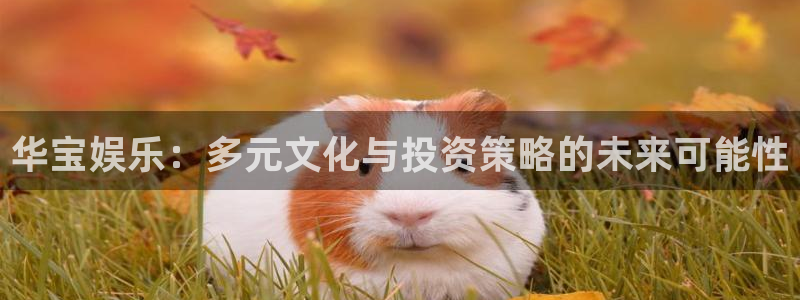 东莞聚富动漫科技有限公司：华宝娱乐：多元文化与投资策略的未来可能性