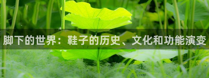中航信托天启328号天玑聚富最新消息：脚下的世界：鞋子的历史、文化和功能演变
