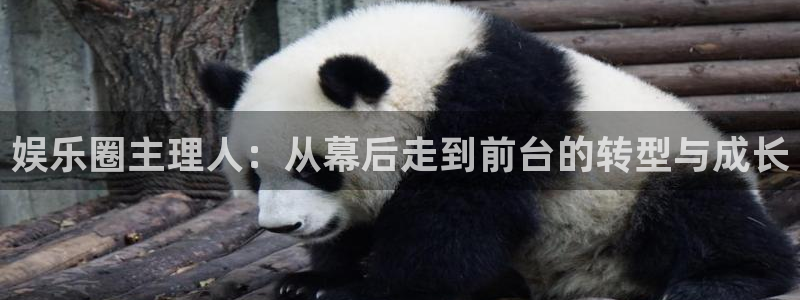 绵阳市聚富商贸有限公司：娱乐圈主理人：从幕后走到前台的转型与成长