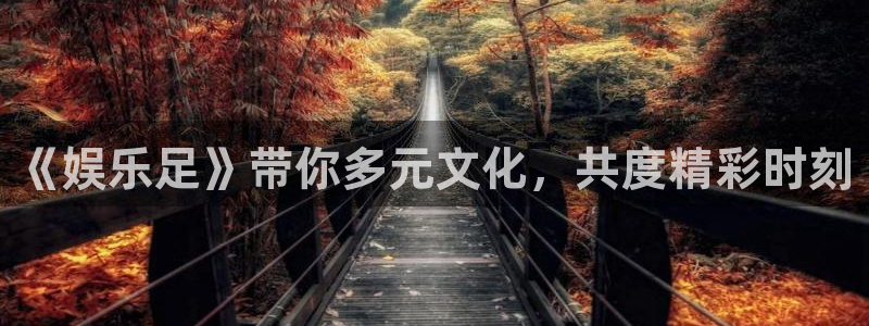 工银聚富482002：《娱乐足》带你多元文化，共度精彩时刻