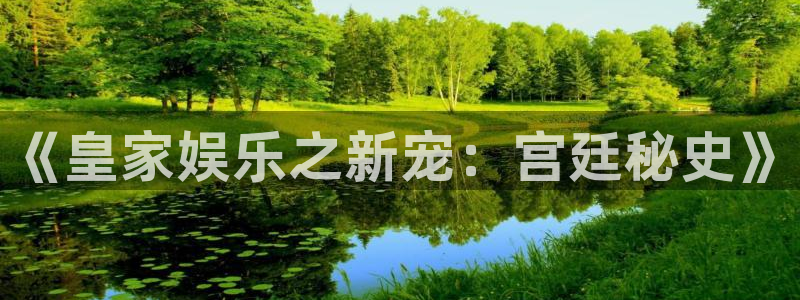 东莞市聚富有限公司：《皇家娱乐之新宠：宫廷秘史》