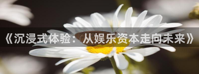 聚富企业：《沉浸式体验：从娱乐资本走向未来》