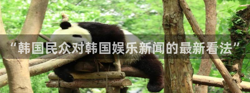 东莞市聚富动漫科技有限公司：“韩国民众对韩国娱乐新闻的最新看法”
