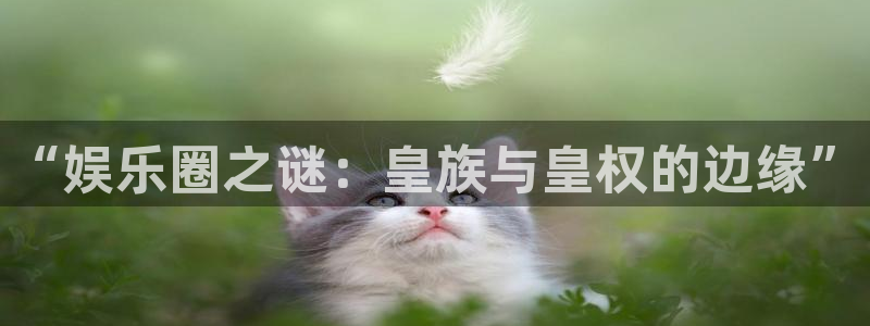 聚富海大酒店：“娱乐圈之谜：皇族与皇权的边缘”