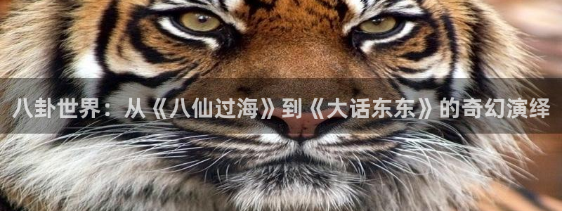 聚富网是正规平台吗：八卦世界：从《八仙过海》到《大话东东》的奇幻演绎