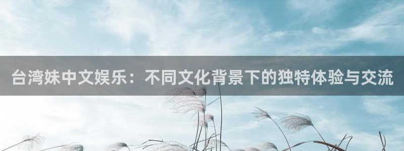 聚富门业：台湾妹中文娱乐：不同文化背景下的独特体验与交流