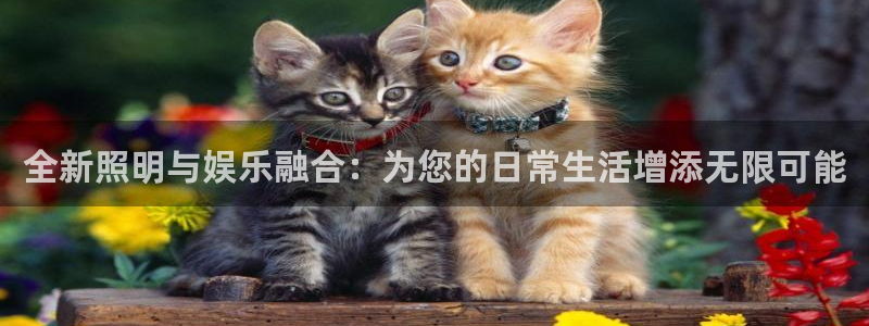 聚富6号年金保险万能型 收益：全新照明与娱乐融合：为您的日常生活增添无限可能