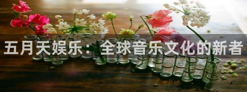 公盈聚富：五月天娱乐：全球音乐文化的新者